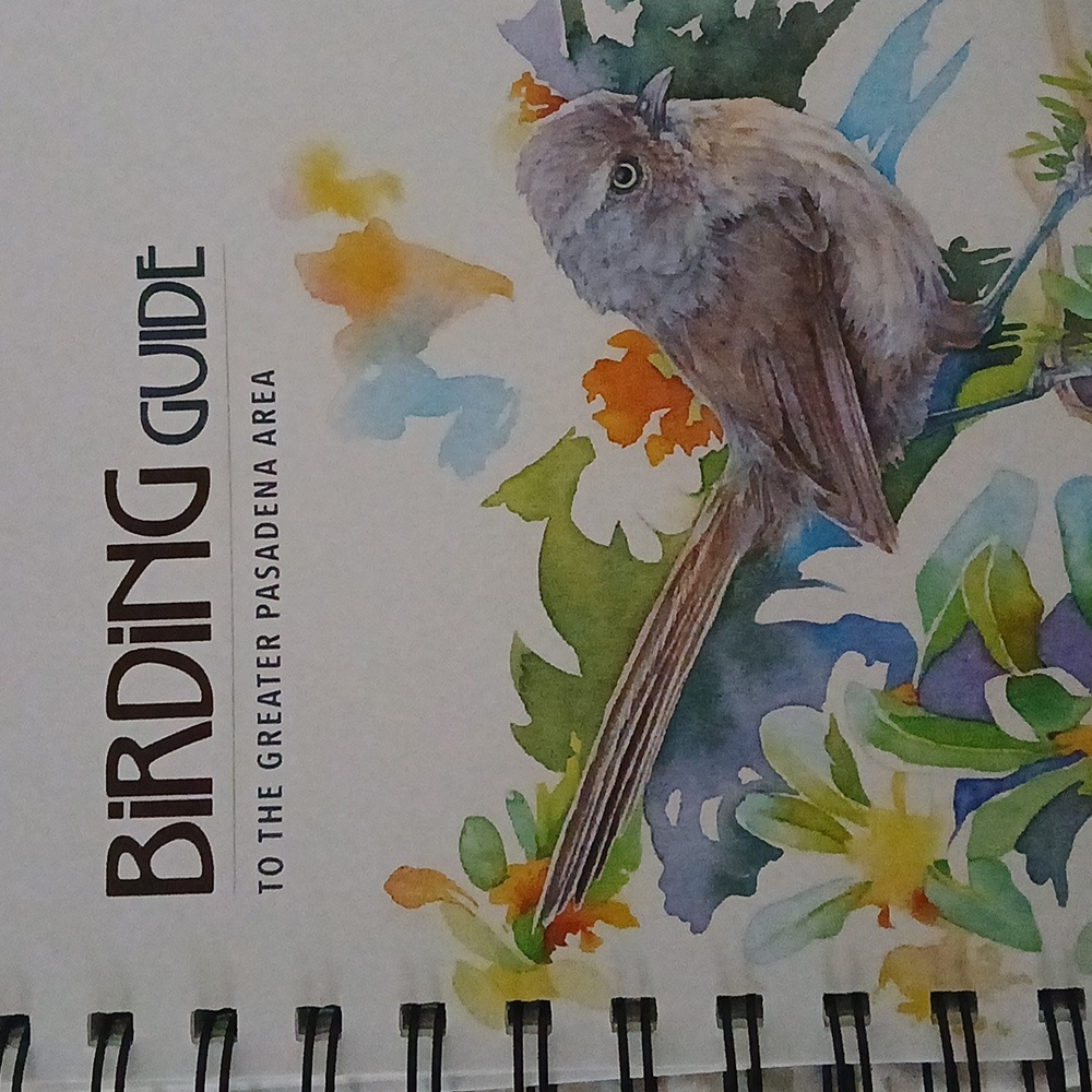 Birding Guide To The Greater Pasadena Area-by The Pasadena Audubon Society